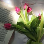 Ruth Rafael Mego - Facebook