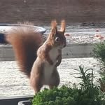 Ruth Rausch - @rausch2025 - Instagram