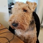 RUTH RAYNOR - @ruthraynor852 - Instagram