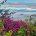 Ruth Rendell Waka - Facebook