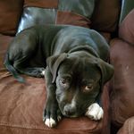Ruth Riddick - @brutebrutethecutecute - Instagram
