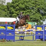 Ruth Robinson - @ruth_robinson_orchidstables - Instagram