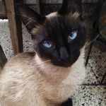 Ruth rosado - @ruthrosado316 - Instagram