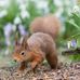Ruth Rowlands Photography - Facebook