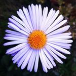 Ruth Russo - @ruth.russo.7771 - Instagram
