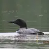 Ruth Ryan - @ruth.ryan58 - TikTok