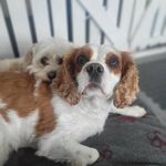Ruth Ryan - @ruthryan030 - Instagram