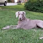 Ruth Ryder Swenson - @ruth.r.swenson.3 - Instagram