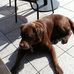 Ruth Sauer - Facebook