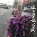 Ruth Sauer - Facebook