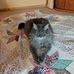 Ruth Sayers - Facebook