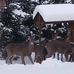 Ruth Schiller - Facebook