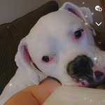 Ruth Schiller-Blankenship - @allykordell - Instagram