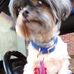 Ruth Schoonover - Facebook