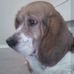 Ruth Seibert - Facebook