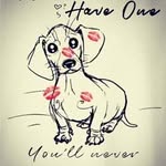 Ruth Seibert - @seibertruth - Instagram
