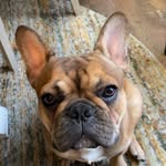 Ruth Seibert Bronner - @foxyroxy8799 - Instagram