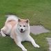 Ruth Seiler - Facebook