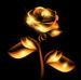 Ruth Seiler - Facebook