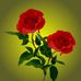 Ruth Seiler - Facebook