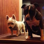 Ruth Seiler - @ruth.seiler.96 - Instagram