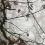 uli.r.se - @ulrikeruthseitz - Instagram