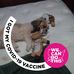 Ruth Sell - Facebook