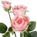 Ruth Sell - Facebook