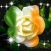 Ruth Sharkey - Facebook