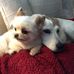 Ruth Sharkey - Facebook