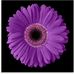 Ruth Sharkey - Facebook