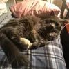 RuthAsher - @ruth.asher - TikTok