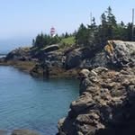 Ruth Shipley - @rshipley - Instagram