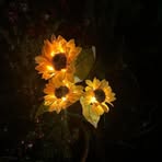 Ruth Angelica Smith - Facebook