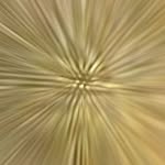 Edward Gonzalez - @ruthsneeden2001 - Instagram