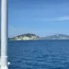 Ruth Sommerville - @ruth.sommerville - TikTok