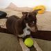 Ruth Spalding - Facebook