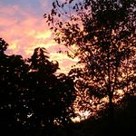 Sparrow ruth McClendon - @sparrowruthmcclendon - Instagram