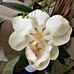 Ruth Jacobs-Spector - Facebook