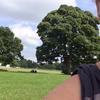 Ruth Spencer - @ruthspencer30 - TikTok