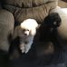 Ruth Spencer - Facebook