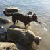 Ruth Spielmann - Facebook
