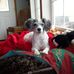 Ruth Ann Marty-Sprague - Facebook