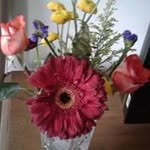Ruth Ann Sprague - @spragueruthann - Instagram