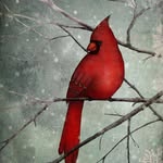 Ruth Sprague - @spragueruth - Instagram