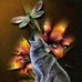 Ruth Stallard - Facebook
