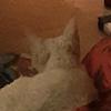 Ruth Starkey - @daboy678780 - TikTok