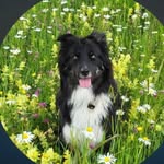 ruth steinbacher - @steinbacher_ruth1 - Instagram