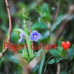 Ruth Stiltner - @paganmom2020 - Instagram