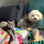 frank, ruth, storm, & ror - @frankieruthiestormierory - Instagram